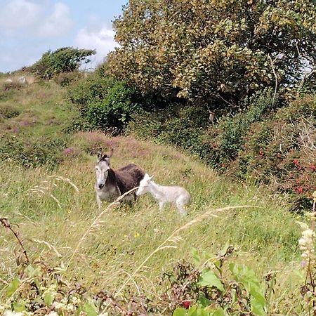 Ballyconneely House Galway Kültér fotó
