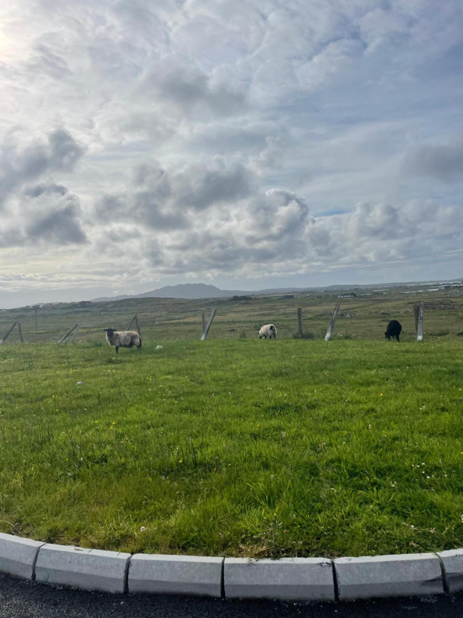 Ballyconneely House Galway Kültér fotó